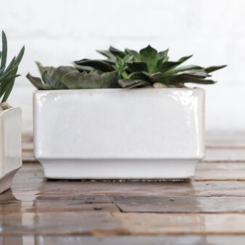 Verge Low Off White Pot 6.5" x 3.5"