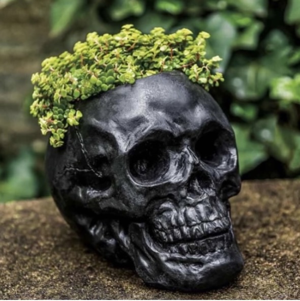 Concrete Gothic &amp; Mythical Plant