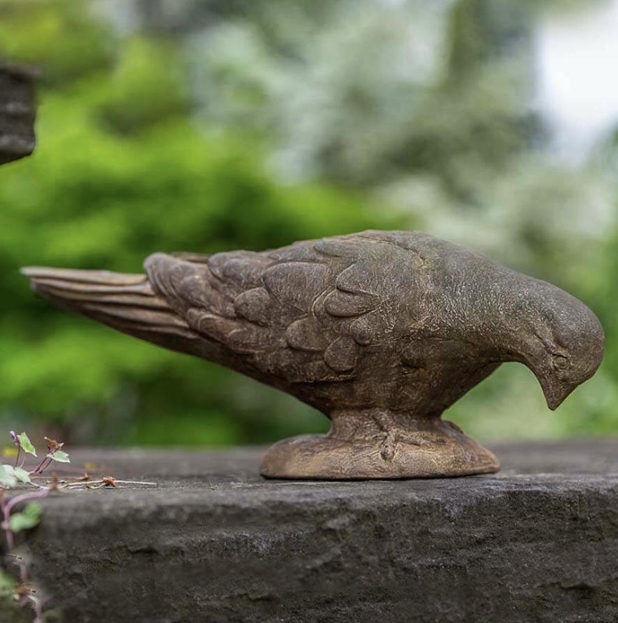 French Dove