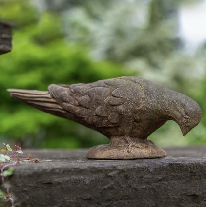 French Dove