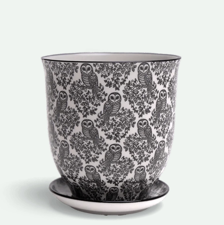 Liberte Owl Porcelain Pot And Saucer Set With Drainage 4.25"