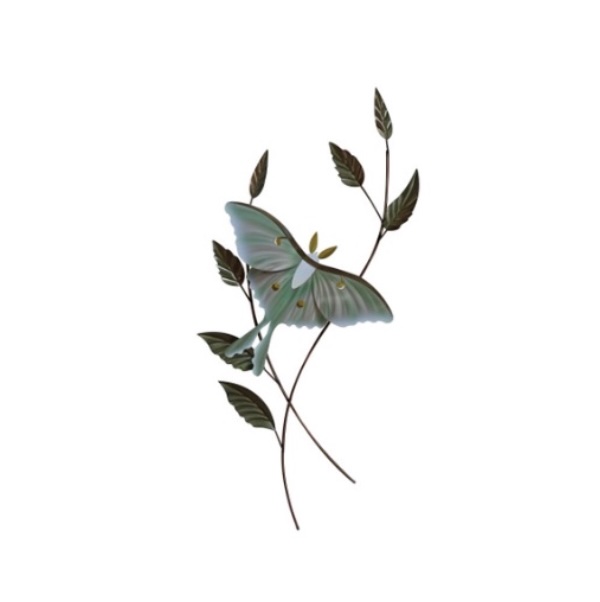 Luna Moth with Foliage Wall Decor 14" x 31"
