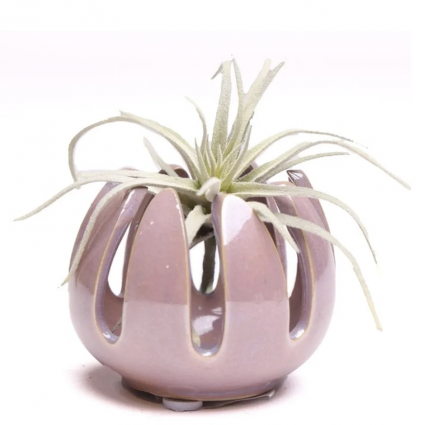 Gideon Mauve Ceramic Air Plant Container