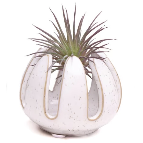 Gideon White Speckle Ceramic Air Plant Container