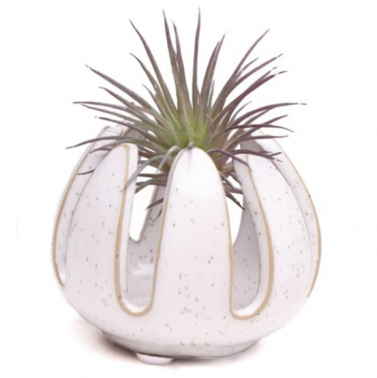 Gideon White Speckle Ceramic Air Plant Container