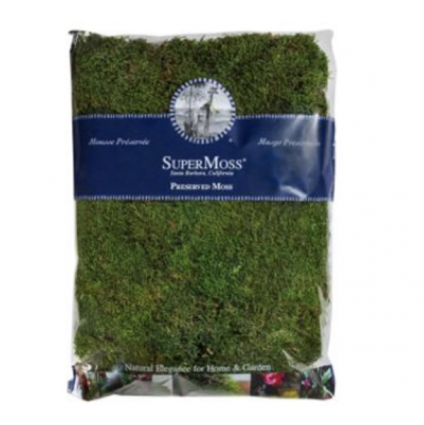 SuperMoss Fresh Green Sheet Moss Preserved