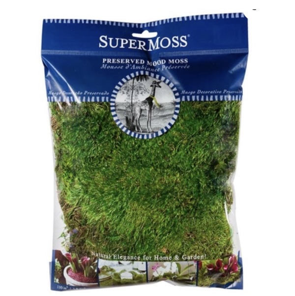 Mood Moss Preserved