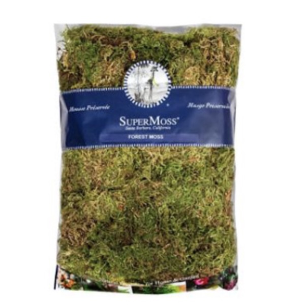 SuperMoss Natural Green Forest Moss