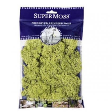 SuperMoss Chartreuse Reindeer Moss 