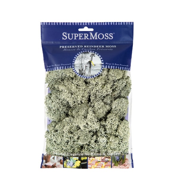 SuperMoss Moss Green Reindeer Moss