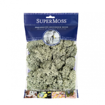 SuperMoss Moss Green Reindeer Moss