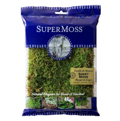 Sheet Moss Preserved