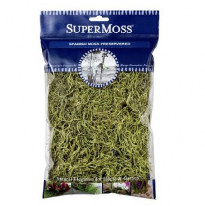 SuperMoss Chartreuse Spanish Moss