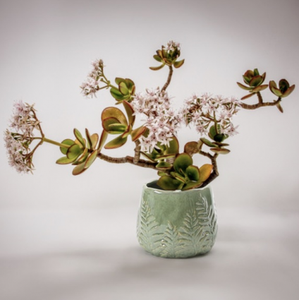 BOWL, FERN PRINT 7" GREEN