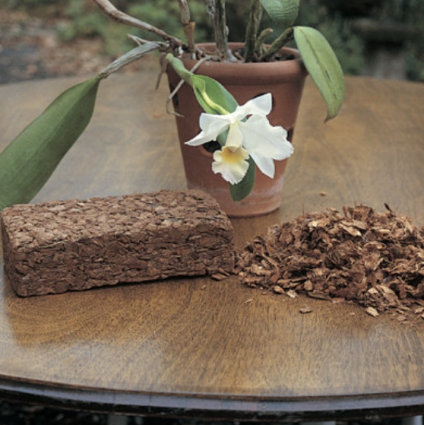 Orchid Potting Mix