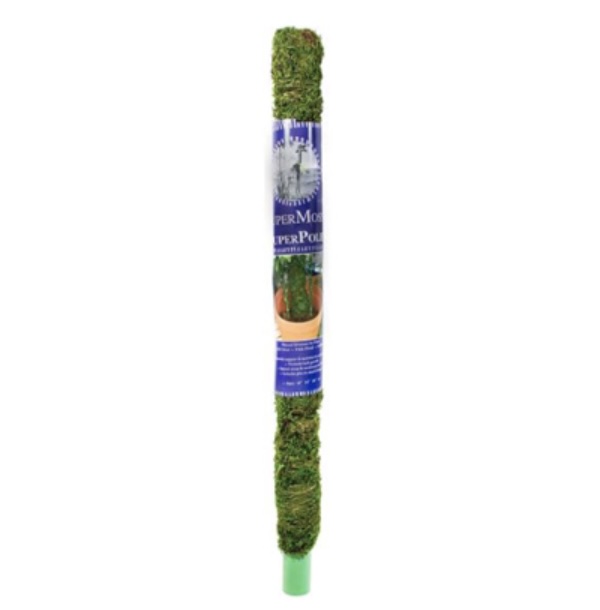 SuperMoss Moss Pole 2'