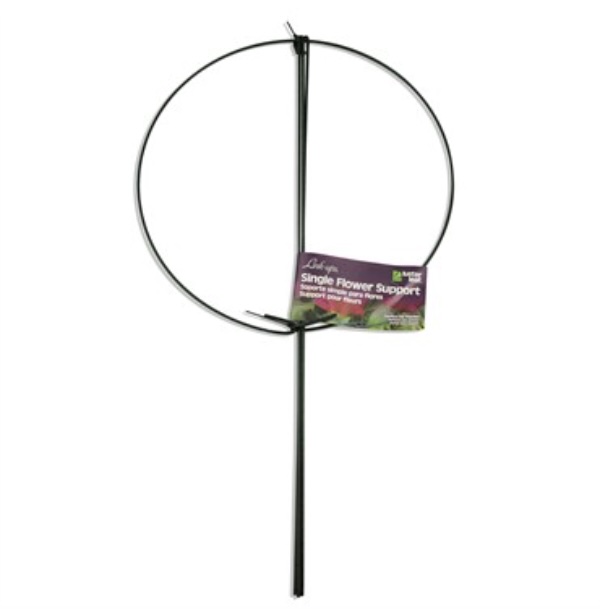 Blossom Support 10" Ring