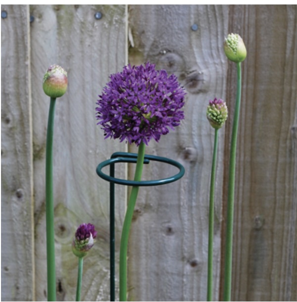 Blossom Support 40" With 3" Loop