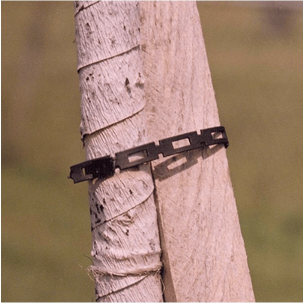 Tree Chainlock  3 lb 1/2″