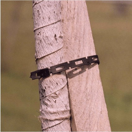 Tree Chainlock  3 lb 1/2″