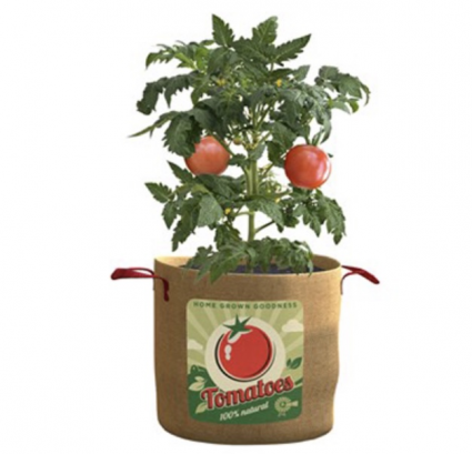 Vintage Tomato Grow Bag 20G