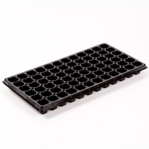Plug Tray 72 Cell