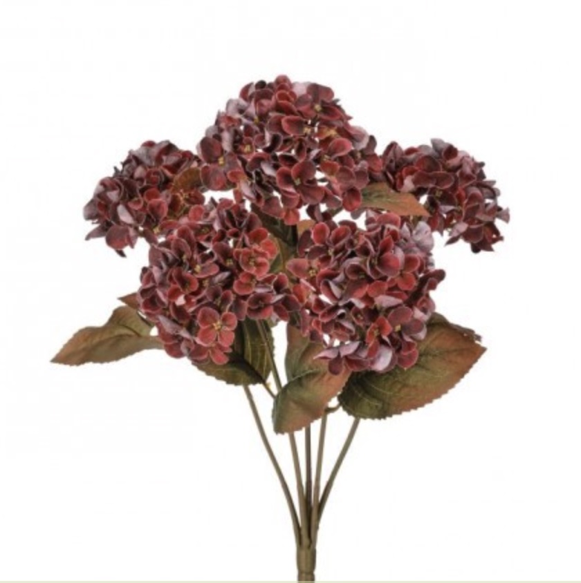 Plum Mini Hydrangea Bush 17"