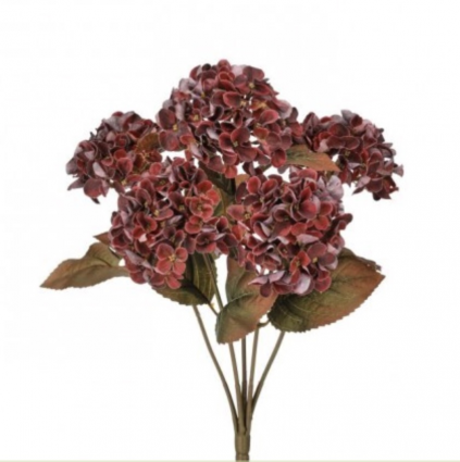 Plum Mini Hydrangea Bush 17"