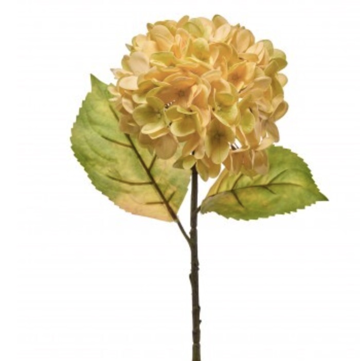 Butternut Hydrangea Stem 23"