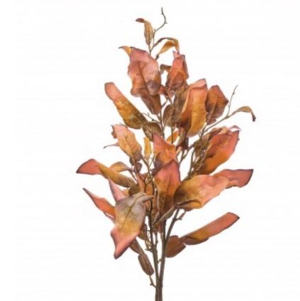 Paprika Copper Beech Spray 37"