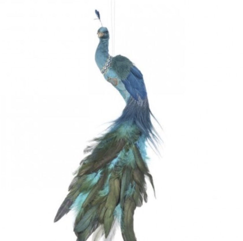 Royal Feather Velvet Peacock 21"
