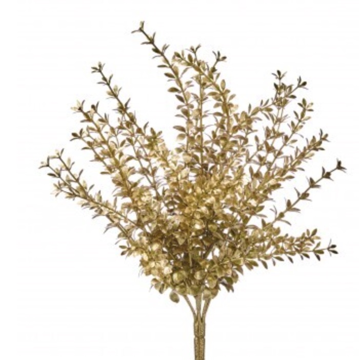Gold Mini Angel Ruscus Bush 15"