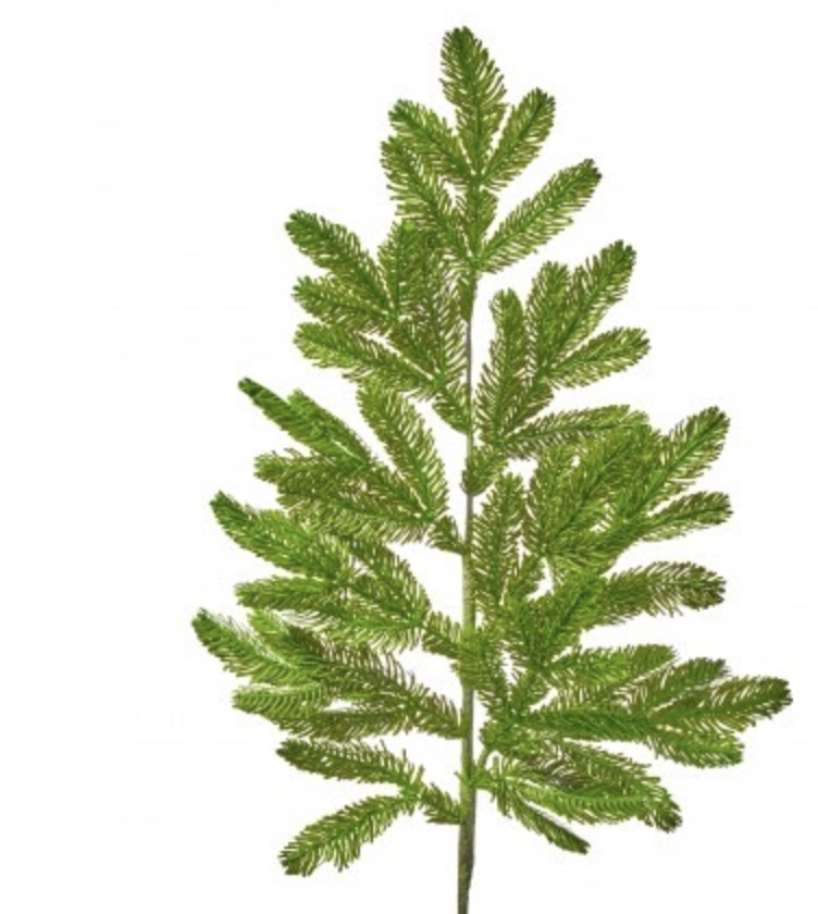 Real Touch Noble Fir Spray 36"