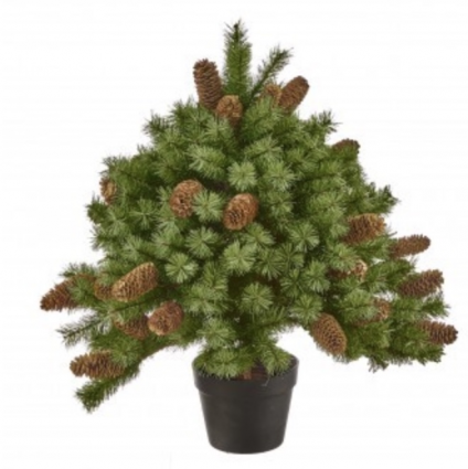 Potted Hard Needle Cone Tree 26"