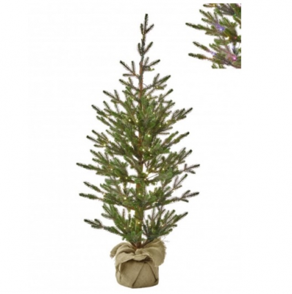 TREE, 6' SPRUCE IN BURLAP LED