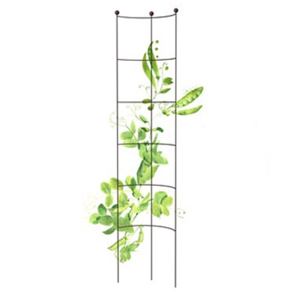Half-Round Rustic Trellis 13" x 57"H