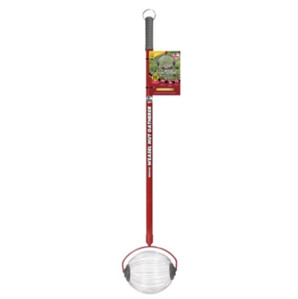 Medium Garden Weasel Nut Gatherer