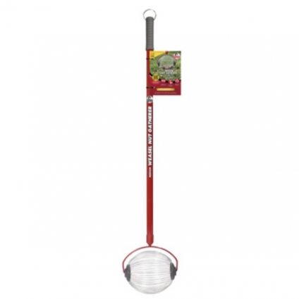 Medium Garden Weasel Nut Gatherer