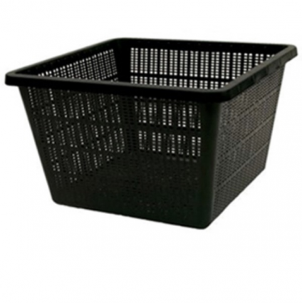 Square Pond Plant Basket 10"