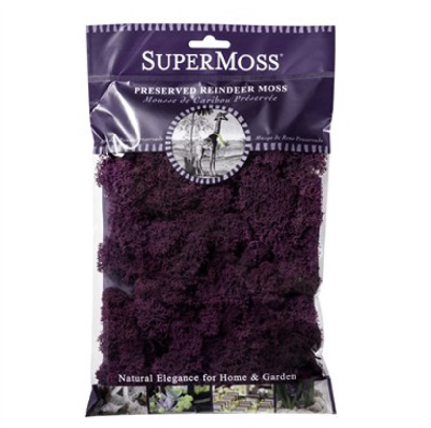 Preserved Reindeer Moss Purple