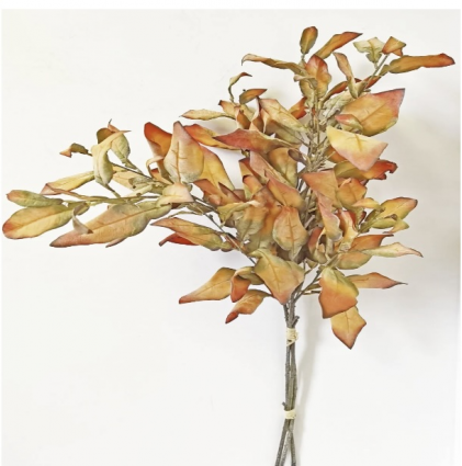 Orange Pomelo Leaf Bundle 38"