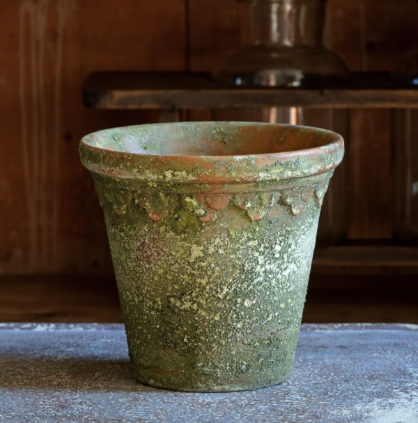 Aged Moss Terracotta Pot 8"
