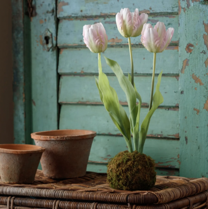Light Pink Tulips in Moss Ball 20"