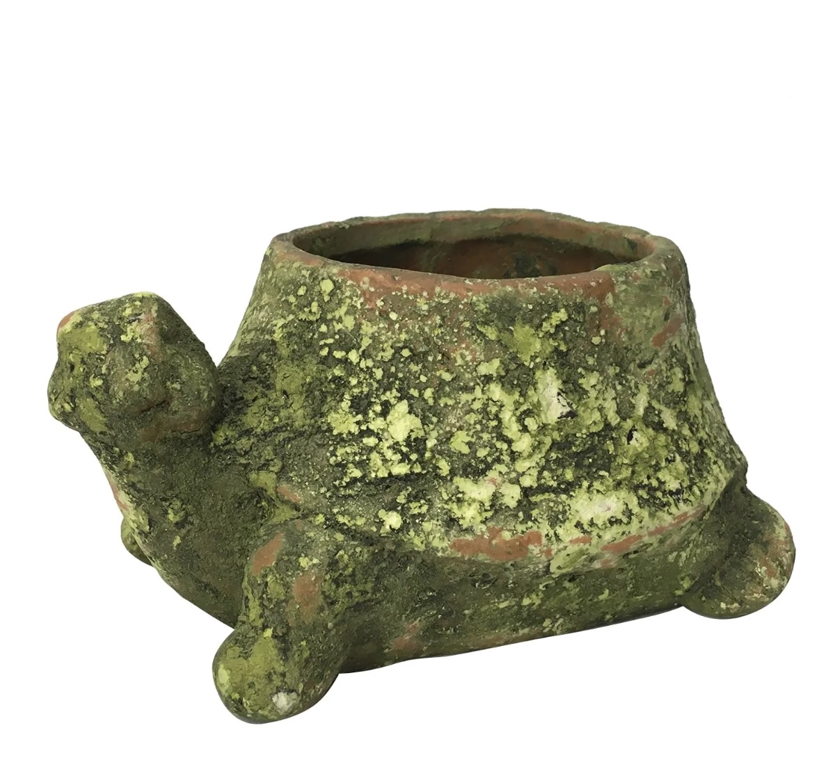 Small Mossy Terra Cotta Turtle Planter