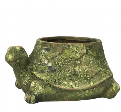 Large Mossy Terra Cotta Turtle Planter