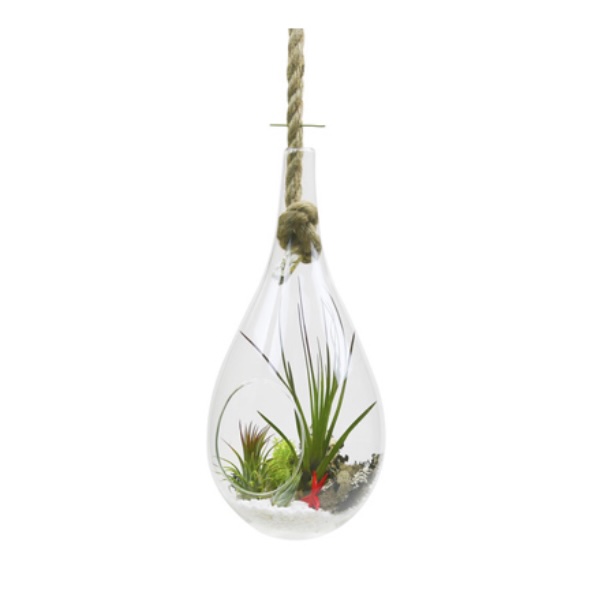 Glass and Rope Hanging Terrarium 11"