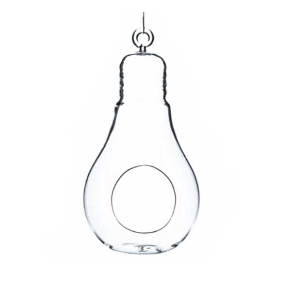 Hanging Glass Bulb Terrarium 7"