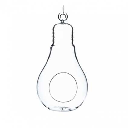 Hanging Glass Bulb Terrarium 7"
