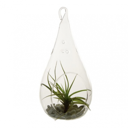 Clear Pear-Shaped Hanging Glass Terrarium 7"