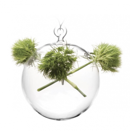 Medium Hanging Glass Sphere Terrarium